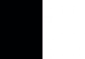 Bandiera tifoserie bicolore