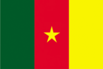 Bandiera Camerun