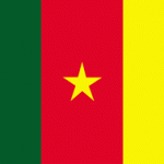 Bandiera Camerun