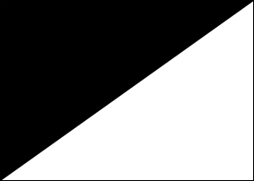 Bandiera bianca e nera da gara