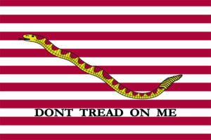 Bandiera marina-militare-usa