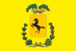 Bandiera Napoli provincia