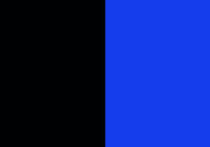 Bandiera nero azzurra