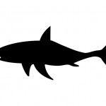 Bandiera pericolo_squali