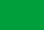 Bandiera verde per commissari di gara